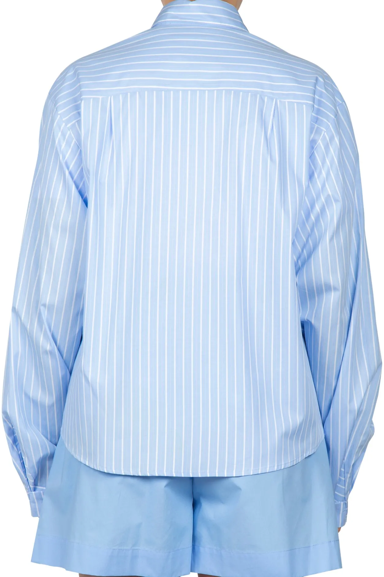 - Camicia - 451093 - Azzurro/Bianco^Grifoni Best